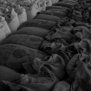 All-Stock Sweet Livestock Feed 40 lb