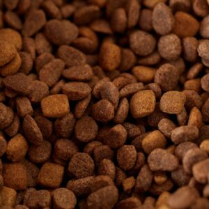 Organic Adult Dog Food 30 lb